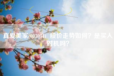 真爱美家(003041)  股价走势如何？是买入时机吗？