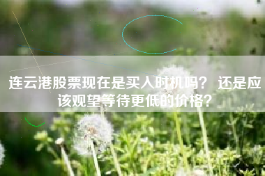 连云港股票现在是买入时机吗？ 还是应该观望等待更低的价格？