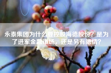 永泰集团为什么要控股海德股份?是为了进军金融市场,还是另有隐情?