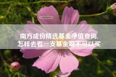 南方成份精选基金净值查询,
怎样去看一支基金可不可以买