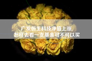 广发恒生科技净值上涨,
怎样去看一支基金可不可以买