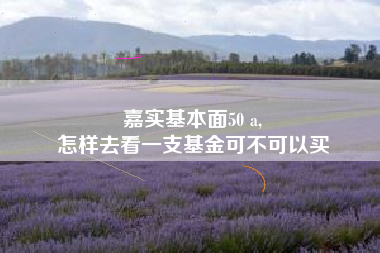 嘉实基本面50 a,
怎样去看一支基金可不可以买