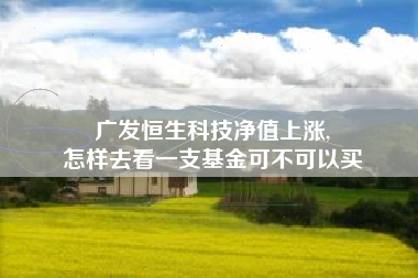 广发恒生科技净值上涨,
怎样去看一支基金可不可以买
