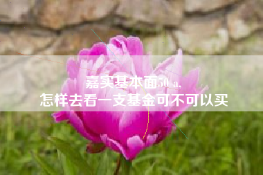 嘉实基本面50 a,
怎样去看一支基金可不可以买