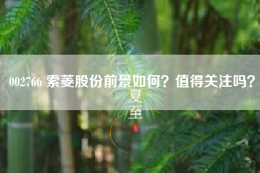 002766 索菱股份前景如何？值得关注吗？