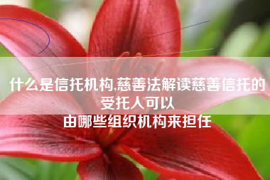 什么是信托机构,慈善法解读慈善信托的受托人可以
由哪些组织机构来担任 什么是信托机构,慈善法解读慈善信托的受托人可以
由哪些组织机构来担任