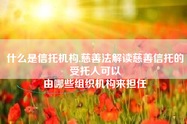 什么是信托机构,慈善法解读慈善信托的受托人可以
由哪些组织机构来担任 什么是信托机构,慈善法解读慈善信托的受托人可以
由哪些组织机构来担任