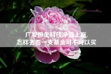 广发恒生科技净值上涨,
怎样去看一支基金可不可以买