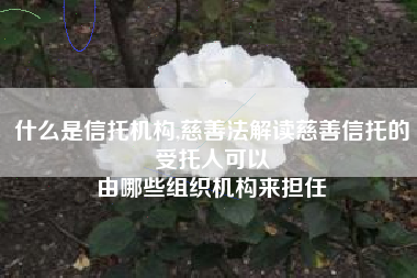 什么是信托机构,慈善法解读慈善信托的受托人可以
由哪些组织机构来担任 什么是信托机构,慈善法解读慈善信托的受托人可以
由哪些组织机构来担任