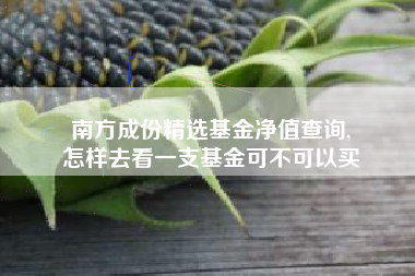 南方成份精选基金净值查询,
怎样去看一支基金可不可以买