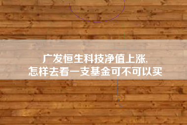 广发恒生科技净值上涨,
怎样去看一支基金可不可以买