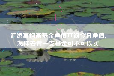 汇添富均衡基金净值查询今日净值,
怎样去看一支基金可不可以买