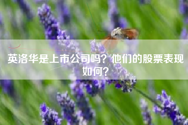 英洛华是上市公司吗？他们的股票表现如何？