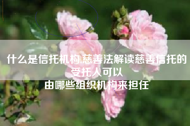 什么是信托机构,慈善法解读慈善信托的受托人可以
由哪些组织机构来担任 什么是信托机构,慈善法解读慈善信托的受托人可以
由哪些组织机构来担任