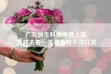 广发恒生科技净值上涨,
怎样去看一支基金可不可以买