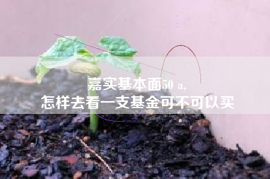 嘉实基本面50 a,
怎样去看一支基金可不可以买