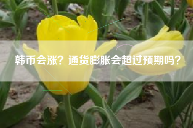 韩币会涨?通货膨胀会超过预期吗?