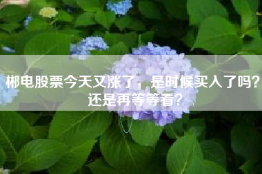 郴电股票今天又涨了,是时候买入了吗? 还是再等等看?
