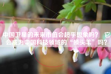 中国卫星的未来市值会超乎想象吗? 它会成为中国科技领域的“领头羊”吗?