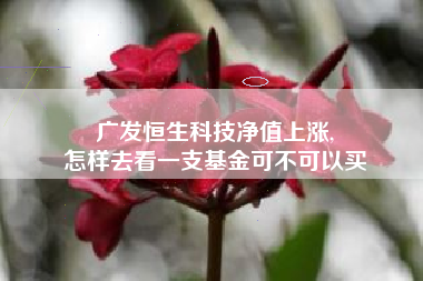 广发恒生科技净值上涨,
怎样去看一支基金可不可以买