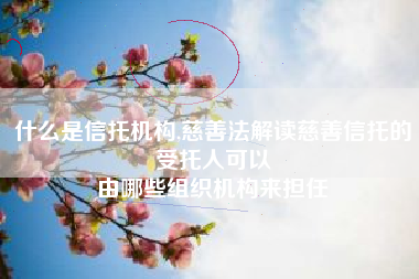 什么是信托机构,慈善法解读慈善信托的受托人可以
由哪些组织机构来担任 什么是信托机构,慈善法解读慈善信托的受托人可以
由哪些组织机构来担任