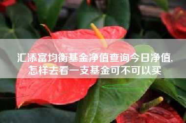汇添富均衡基金净值查询今日净值,
怎样去看一支基金可不可以买