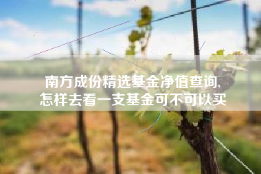 南方成份精选基金净值查询,
怎样去看一支基金可不可以买