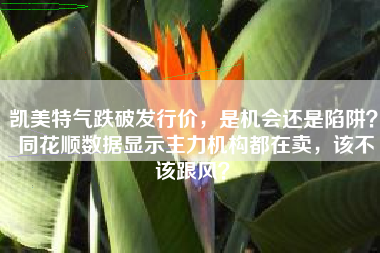 凯美特气跌破发行价,是机会还是陷阱? 同花顺数据显示主力机构都在卖,该不该跟风?