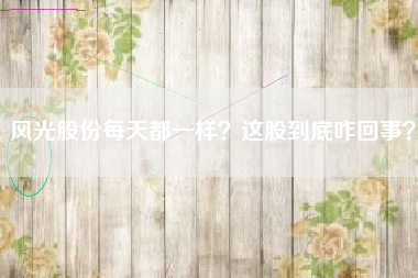 风光股份每天都一样？这股到底咋回事？