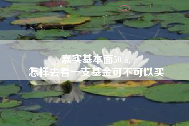 嘉实基本面50 a,
怎样去看一支基金可不可以买