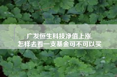 广发恒生科技净值上涨,
怎样去看一支基金可不可以买