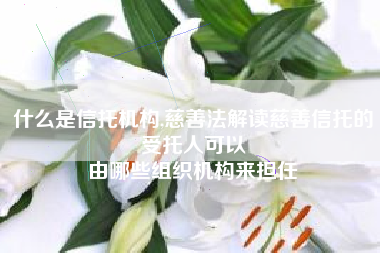 什么是信托机构,慈善法解读慈善信托的受托人可以
由哪些组织机构来担任 什么是信托机构,慈善法解读慈善信托的受托人可以
由哪些组织机构来担任