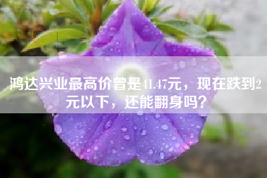 鸿达兴业最高价曾是41.47元，现在跌到2元以下，还能翻身吗？