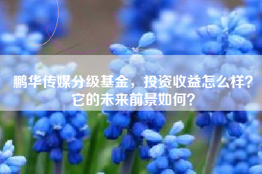鹏华传媒分级基金，投资收益怎么样？它的未来前景如何？