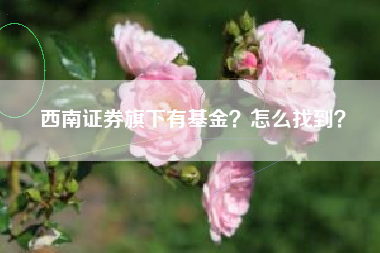 西南证券旗下有基金？怎么找到？