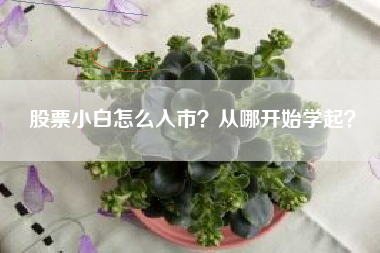 股票小白怎么入市？从哪开始学起？