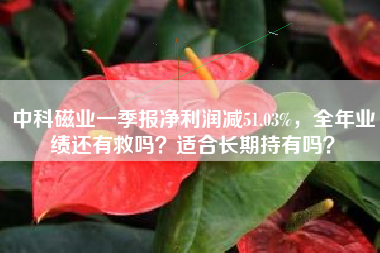 中科磁业一季报净利润减51.03%,全年业绩还有救吗?适合长期持有吗?
