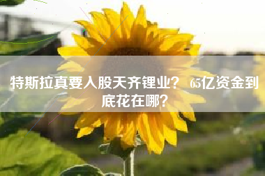 特斯拉真要入股天齐锂业？ 65亿资金到底花在哪？