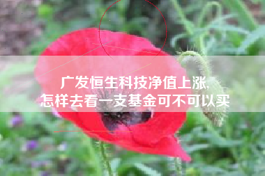 广发恒生科技净值上涨,
怎样去看一支基金可不可以买