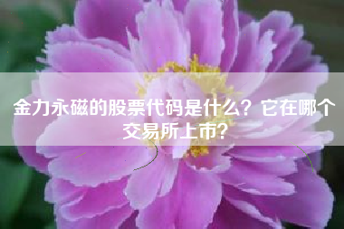 金力永磁的股票代码是什么？它在哪个交易所上市？