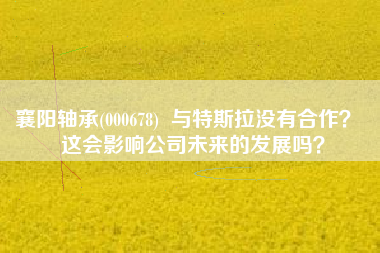 襄阳轴承(000678)  与特斯拉没有合作？  这会影响公司未来的发展吗？