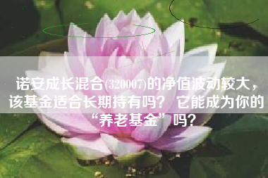 诺安成长混合(320007)的净值波动较大,该基金适合长期持有吗? 它能成为你的“养老基金”吗?