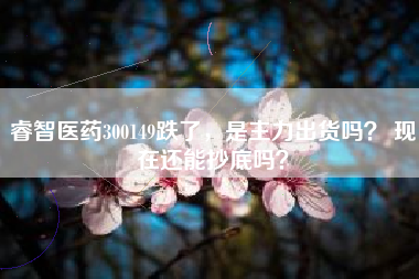 睿智医药300149跌了，是主力出货吗？ 现在还能抄底吗？