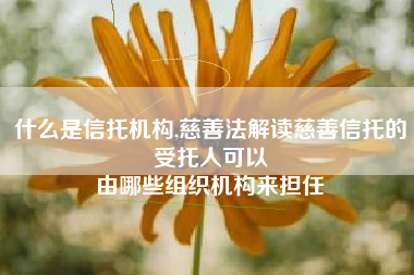 什么是信托机构,慈善法解读慈善信托的受托人可以
由哪些组织机构来担任 什么是信托机构,慈善法解读慈善信托的受托人可以
由哪些组织机构来担任