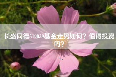 长盛同德519039基金走势如何?值得投资吗?