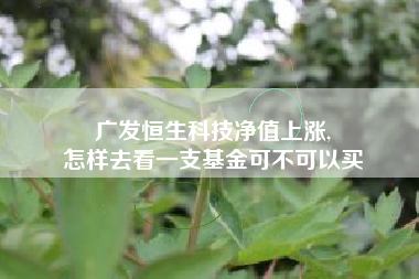 广发恒生科技净值上涨,
怎样去看一支基金可不可以买