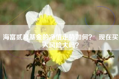 海富贰号基金的净值走势如何？  现在买入风险大吗？