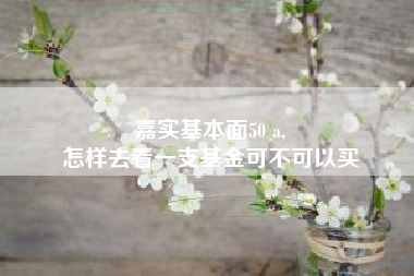 嘉实基本面50 a,
怎样去看一支基金可不可以买