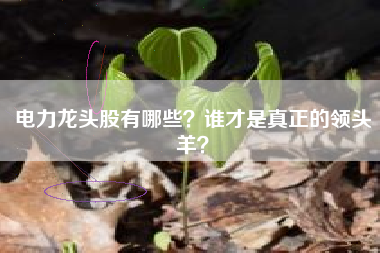 电力龙头股有哪些?谁才是真正的领头羊?