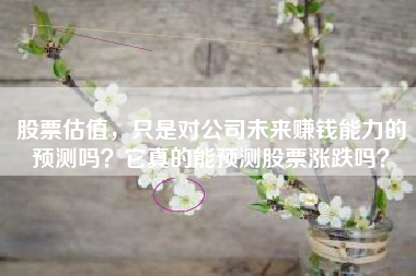 股票估值，只是对公司未来赚钱能力的预测吗？它真的能预测股票涨跌吗？